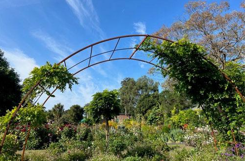 Singleton botanical garden 